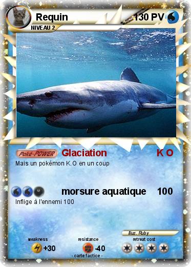 Pokemon Requin