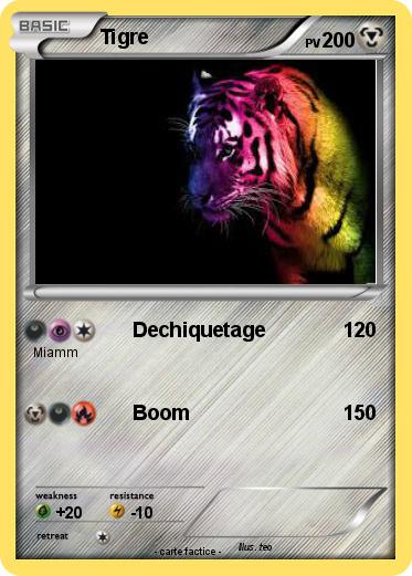 Pokemon Tigre