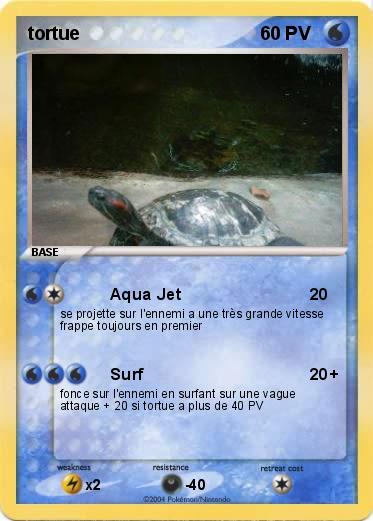 Pokemon tortue