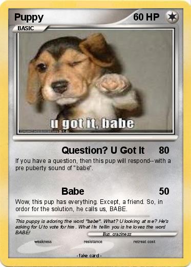 Pokemon Puppy