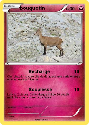 Pokemon bouquetin