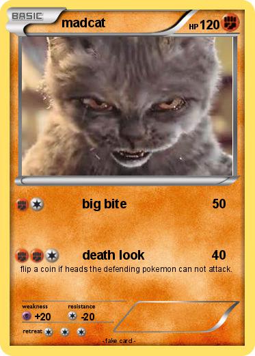 Pokemon madcat