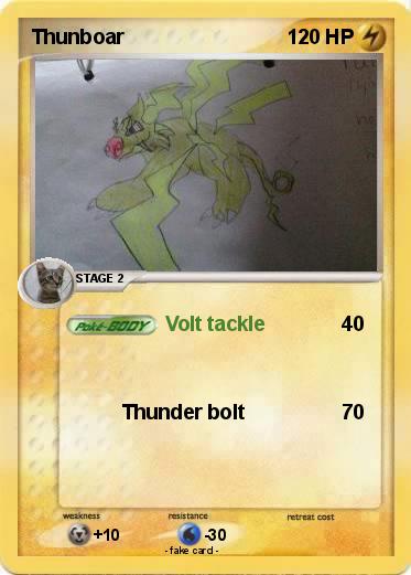 Pokemon Thunboar
