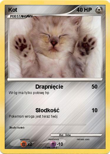 Pokemon Kot