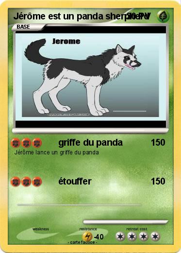 Pokemon Jérôme est un panda sherpherd