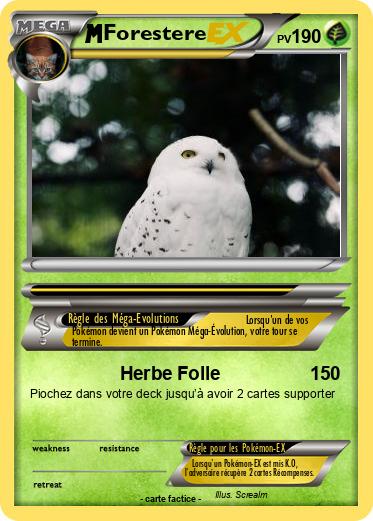 Pokemon Forestere