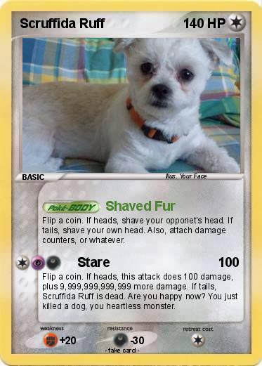 Pokemon Scruffida Ruff