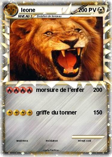 Pokemon leone