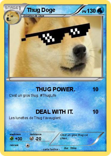 Pokemon Thug Doge