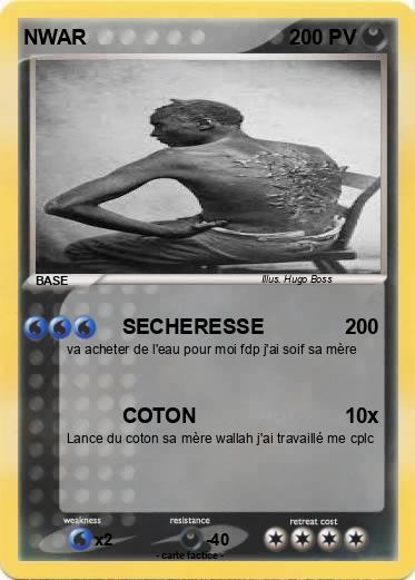 Pokemon NWAR