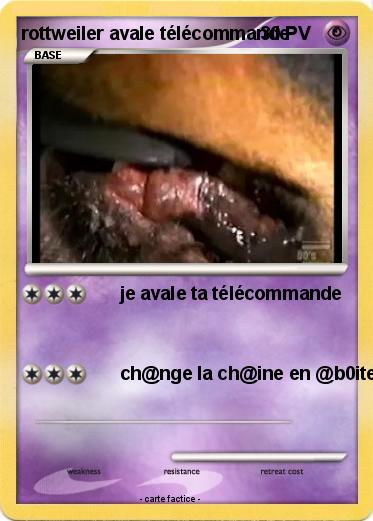 Pokemon rottweiler avale télécommande