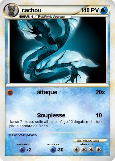 Pokemon cachou