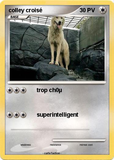 Pokemon colley croisé