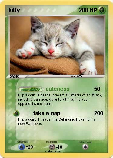 Pokemon kitty