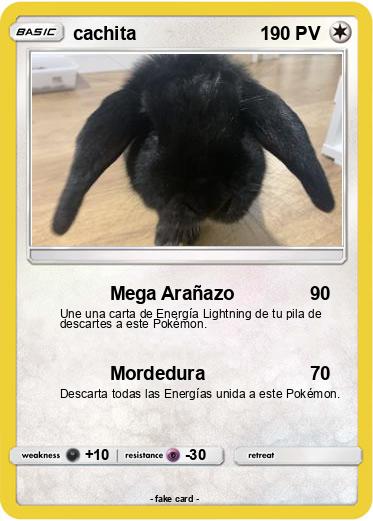 Pokemon cachita