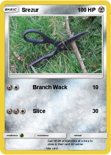 Pokemon Srezur