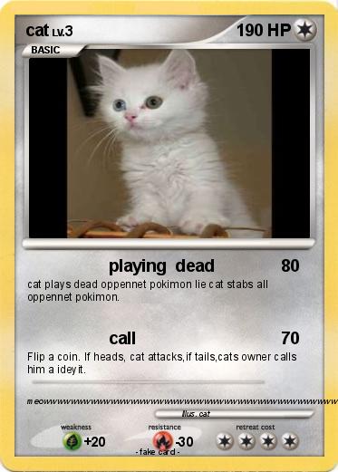 Pokemon cat