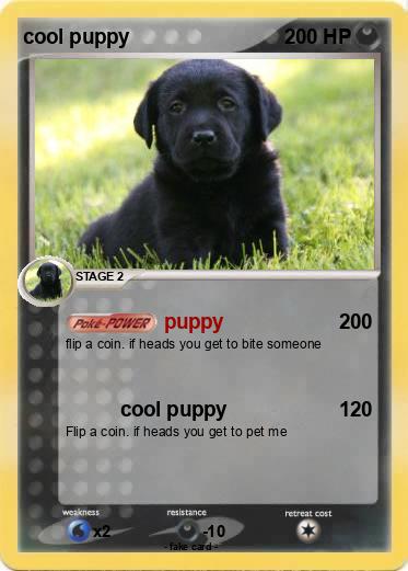 Pokemon cool puppy