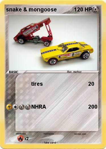 Pokemon snake & mongoose