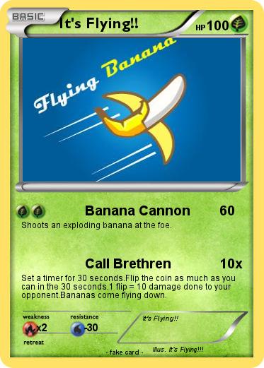 Pokemon It's Flying!!