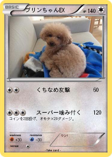 Pokemon プリンちゃんEX