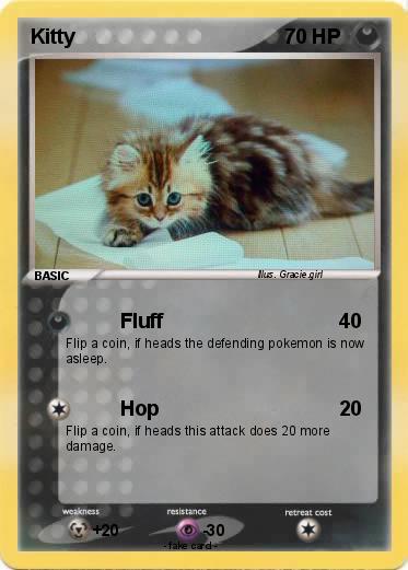 Pokemon Kitty