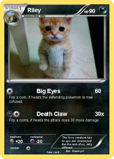Pokemon Riley