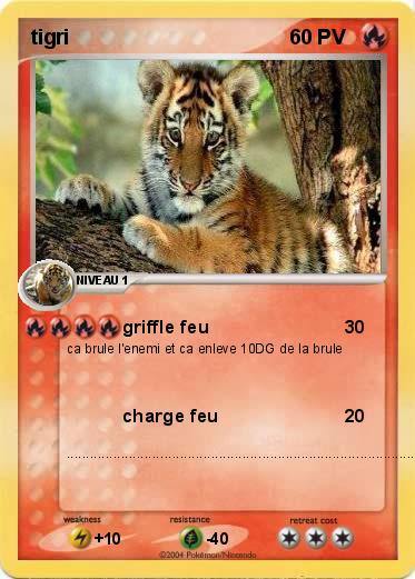 Pokemon tigri