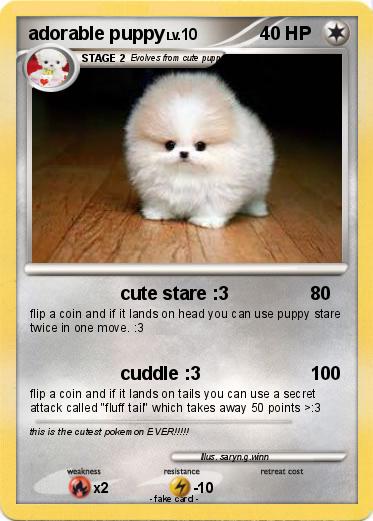 Pokemon adorable puppy