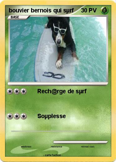 Pokemon bouvier bernois qui sµrf