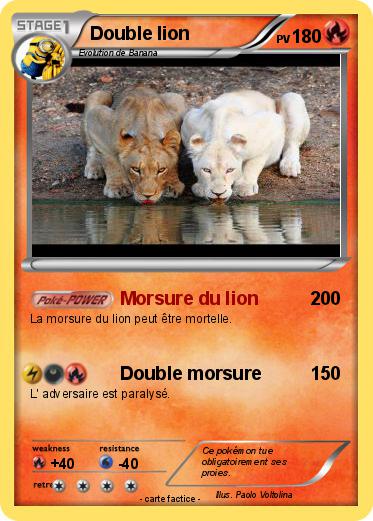 Pokemon Double lion