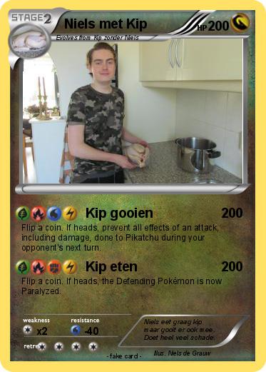 Pokemon Niels met Kip