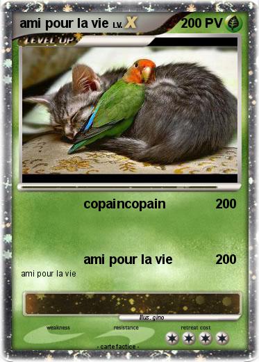 Pokemon ami pour la vie