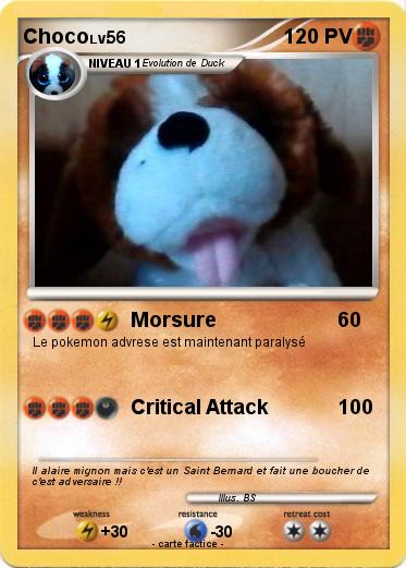 Pokemon Choco