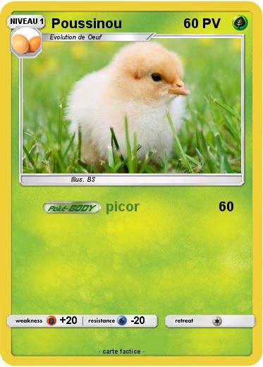 Pokemon Poussinou