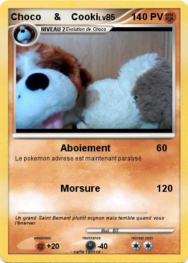 Pokemon Choco     &    Cooki