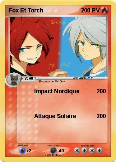 Pokemon Fox Et Torch