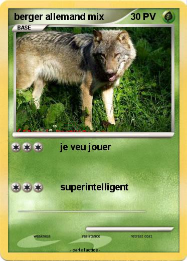 Pokemon berger allemand mix