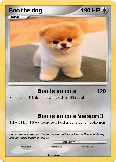 Pokemon Boo the dog