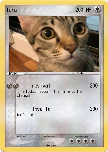 Pokemon Tara
