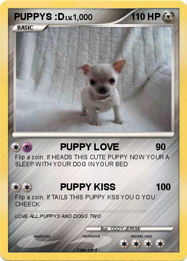Pokemon PUPPYS :D