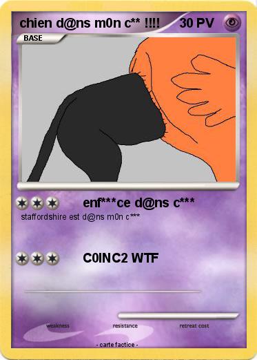 Pokemon chien d@ns m0n c** !!!!