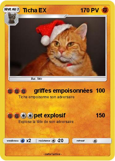 Pokemon Ticha EX