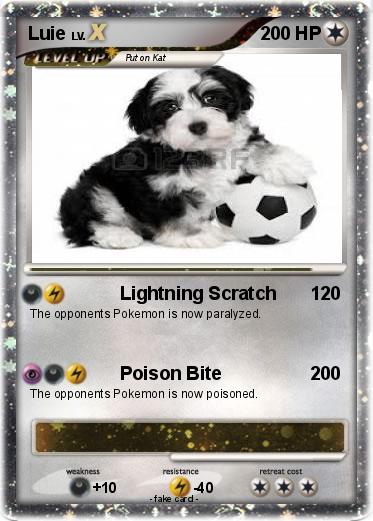 Pokemon Luie