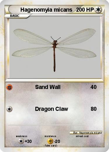 Pokemon Hagenomyia micans
