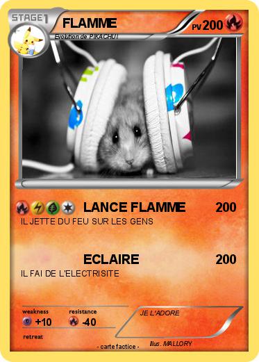 Pokemon FLAMME
