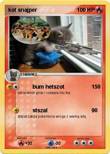 Pokemon kot snajper