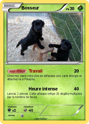Pokemon Bosseur