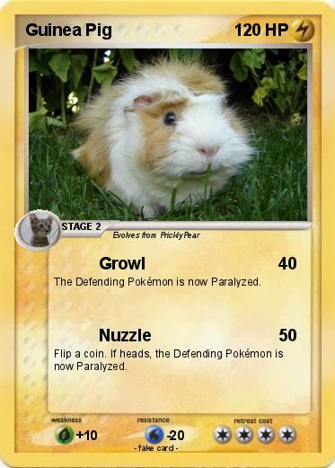 Pokemon Guinea Pig