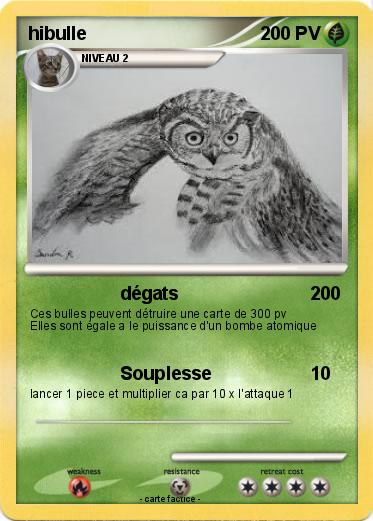 Pokemon hibulle